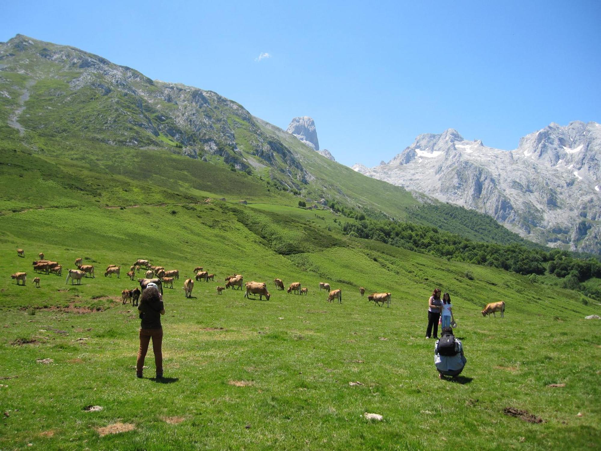 Hosteria Picos De Europa Potes Exterior photo
